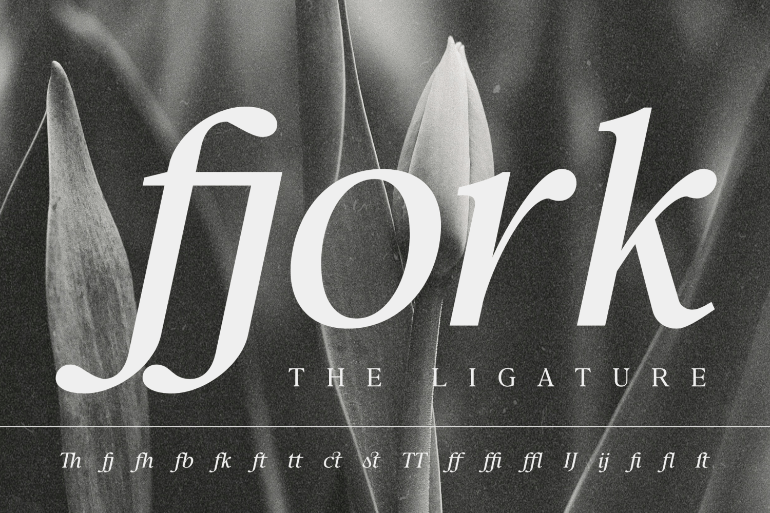 Confirm Serif Font Poster #1