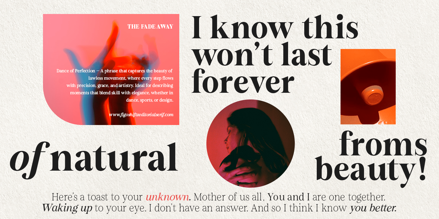 Figo Shiftz Font Family Poster