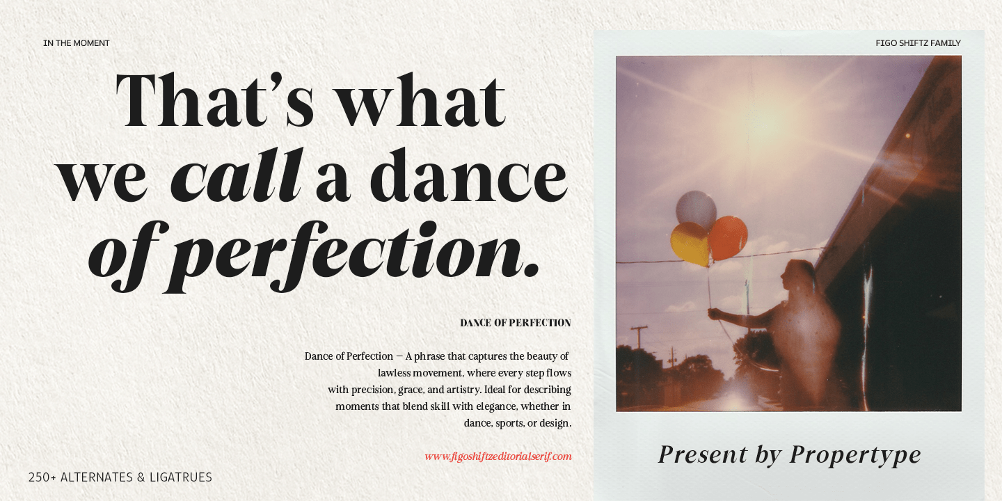 Figo Shiftz Font Poster #6