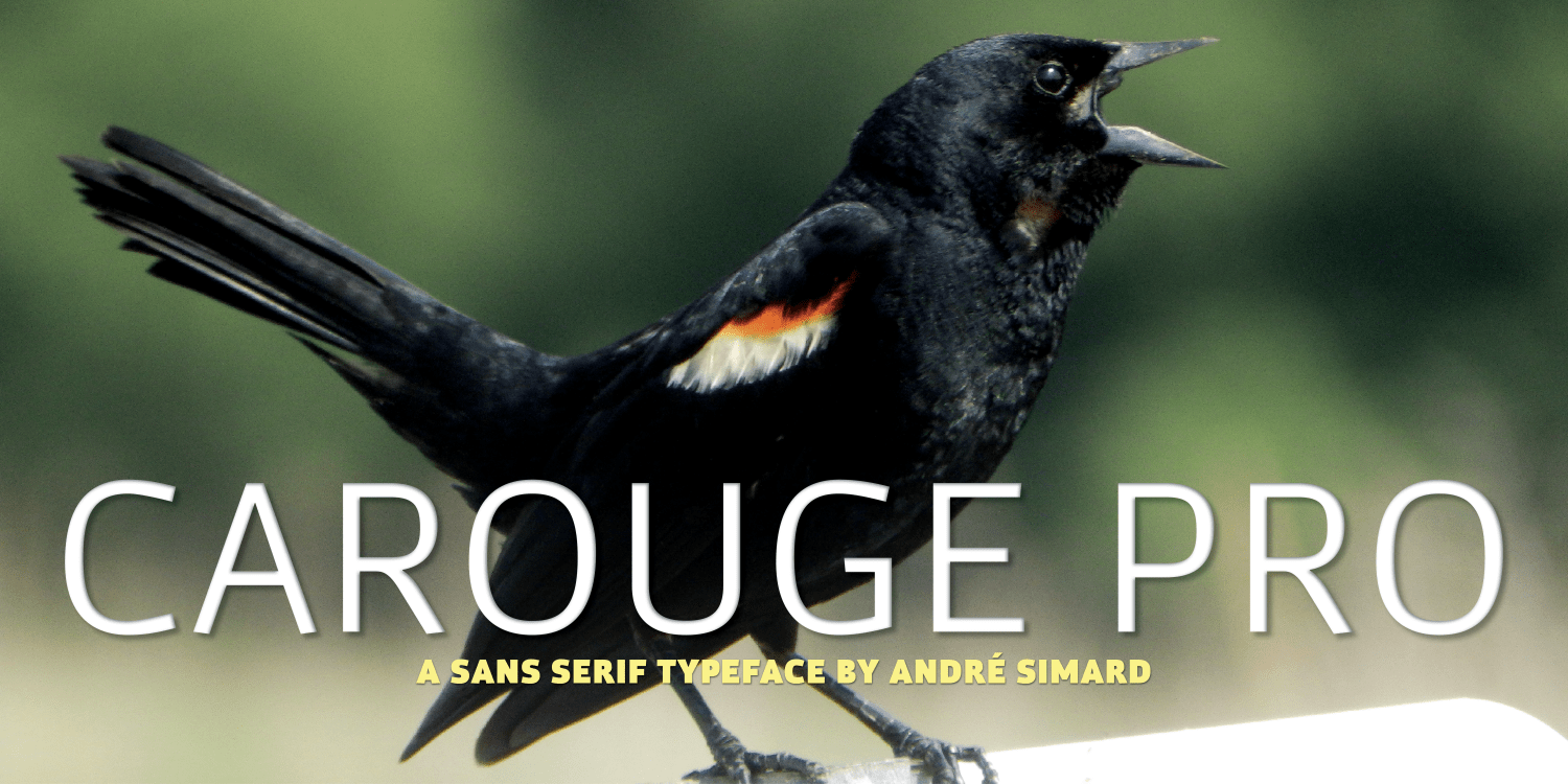 Carouge Pro Font Poster #1