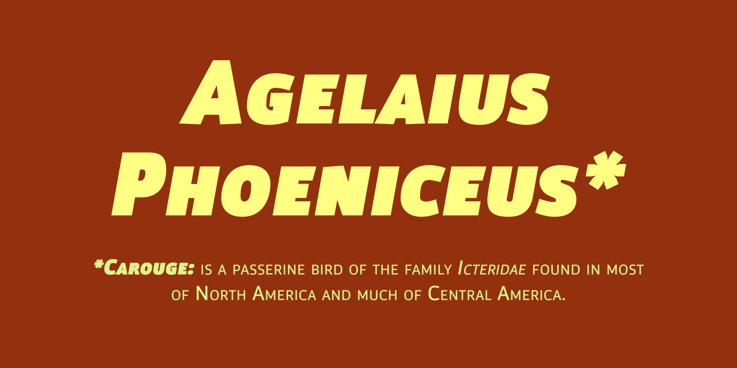 Carouge Pro Font Poster #1