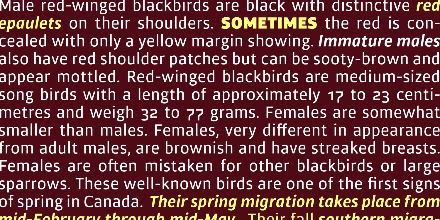 Carouge Pro Font Poster #1