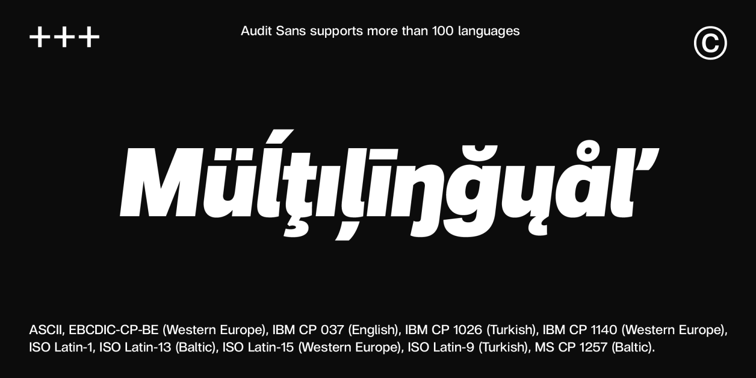 Audit Sans Font Poster #4