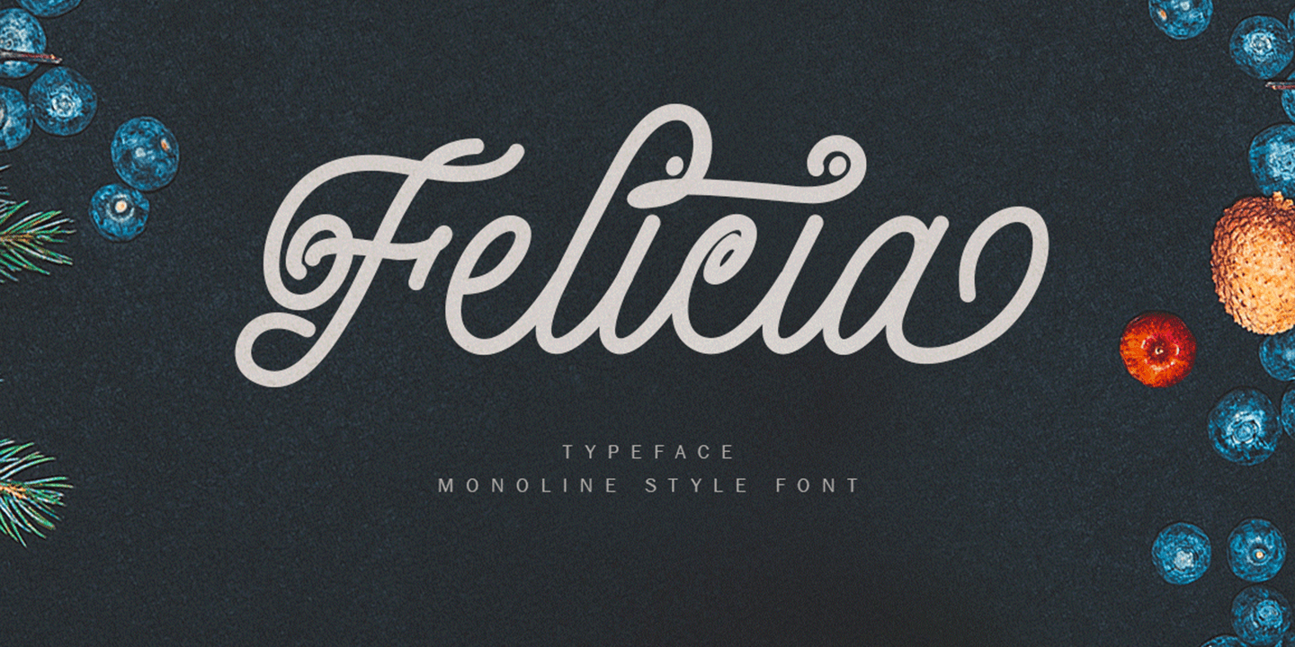 Felicia Font Family