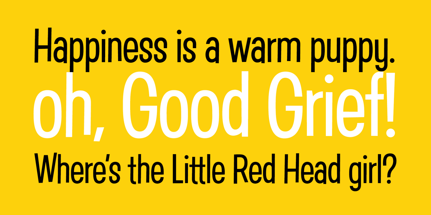 Good Grief Font Poster #1