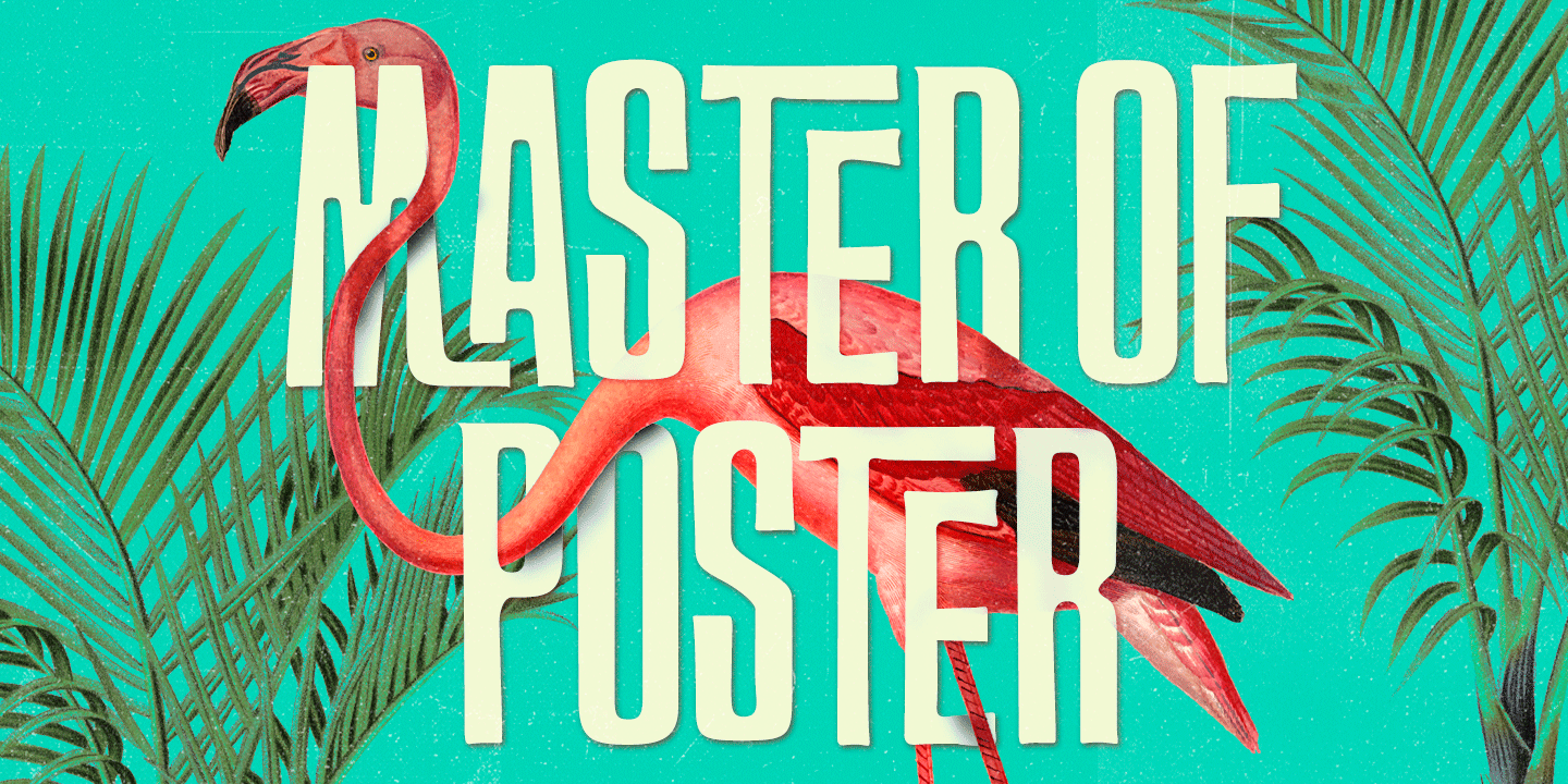 FT Master of Poster Font Family Poster