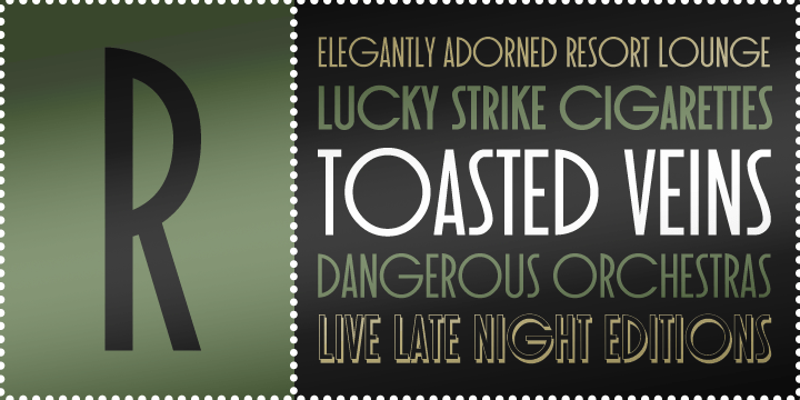 Toasted Vein BTN Font Family Poster