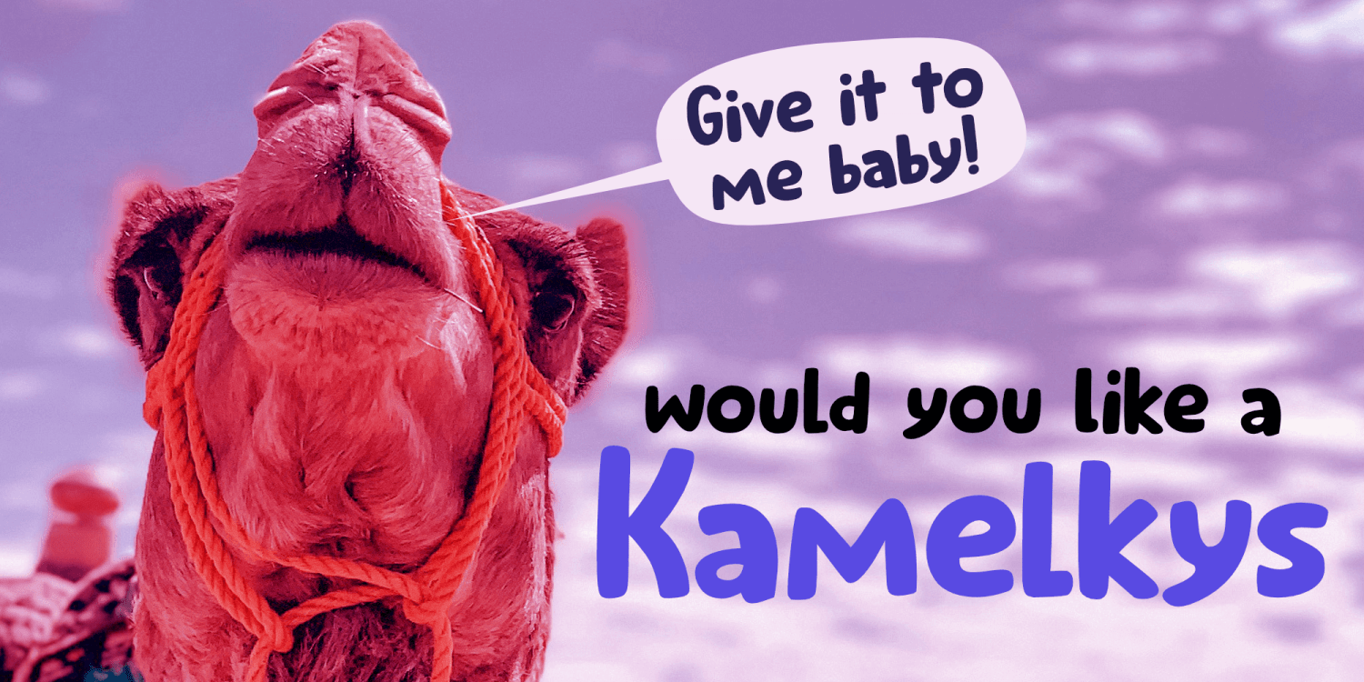 Kamelkys Poster