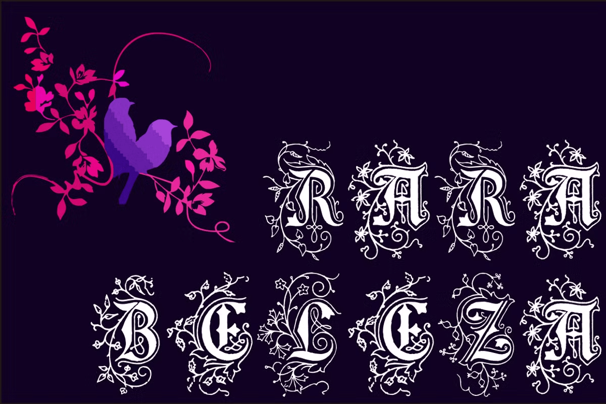 Rara Beleza Font Family Poster