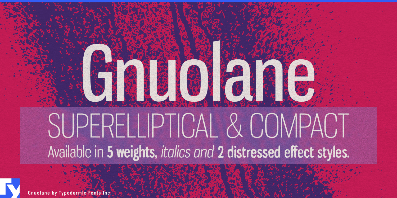 Gnuolane Font Poster #1