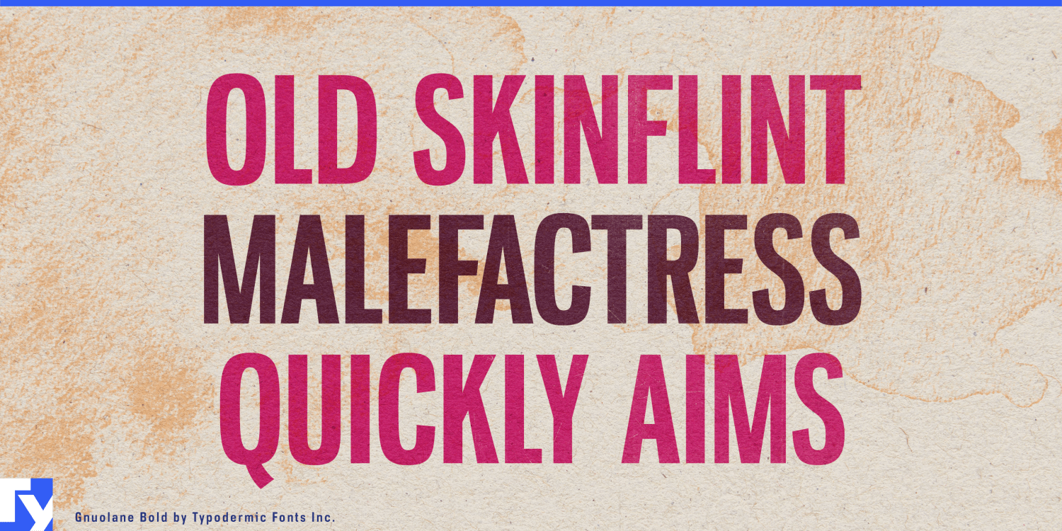 Gnuolane Font Poster #1