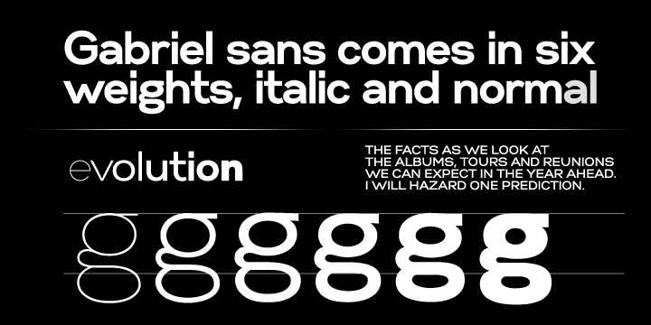Gabriel Sans Font Poster #1