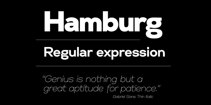 Gabriel Sans Font Poster #1