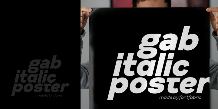Gabriel Sans Font Poster #1