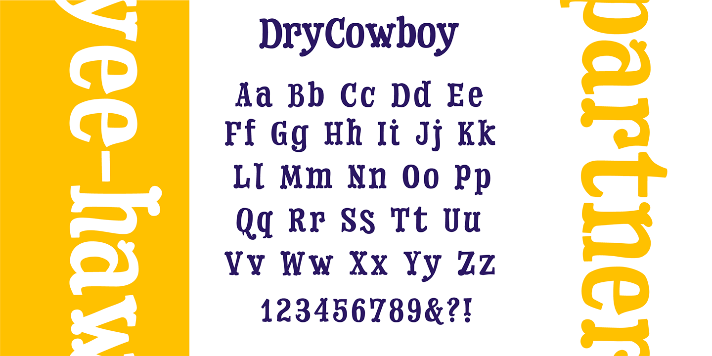 Dry Cowboy Font Poster #1