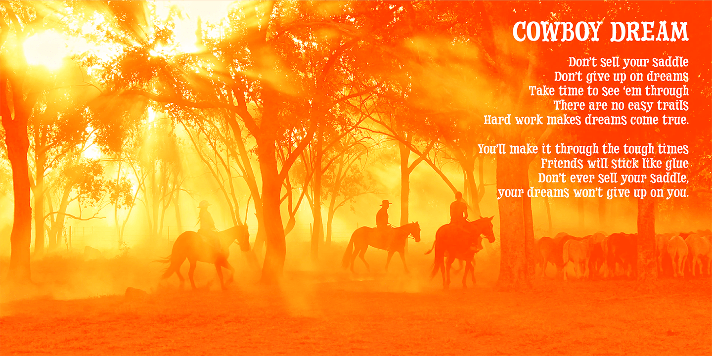 Dry Cowboy Font Poster #1