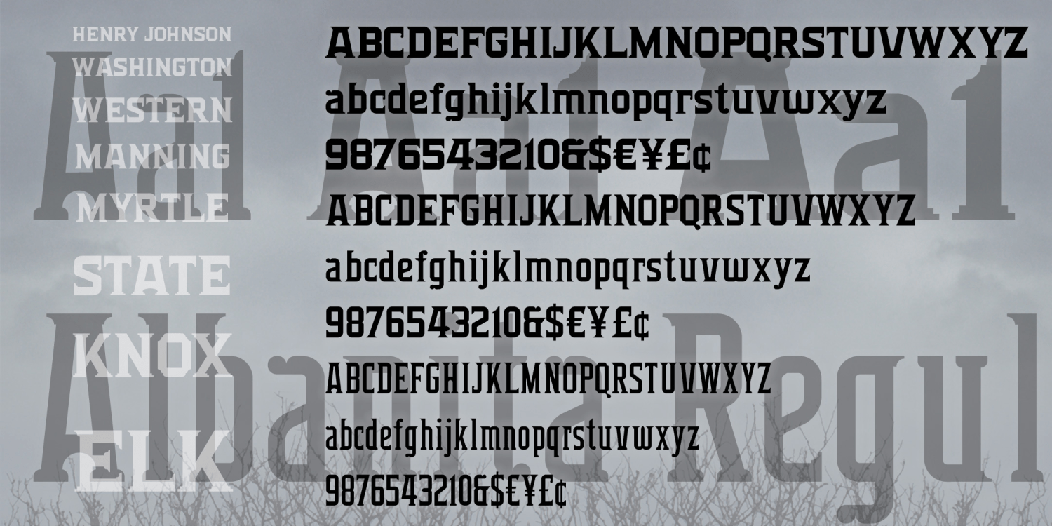 Albanita Serif Font Poster #1