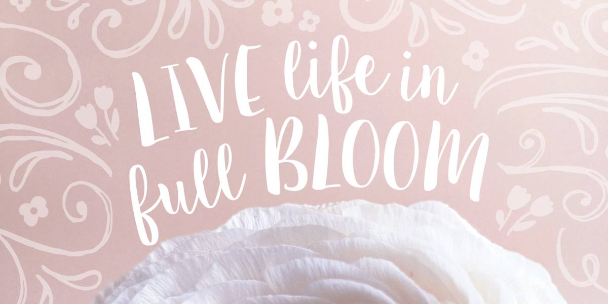 Sugar Plums Font Poster #1