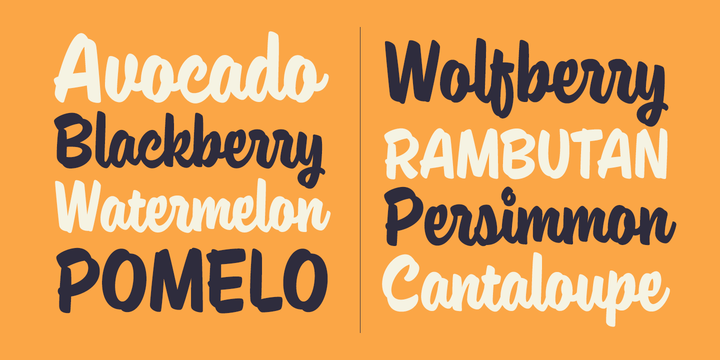 Paintlay Font Poster #1