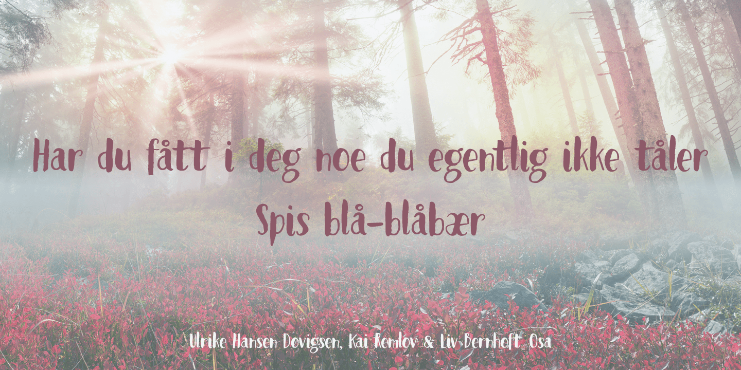 Blueberry Jam Font Poster #1