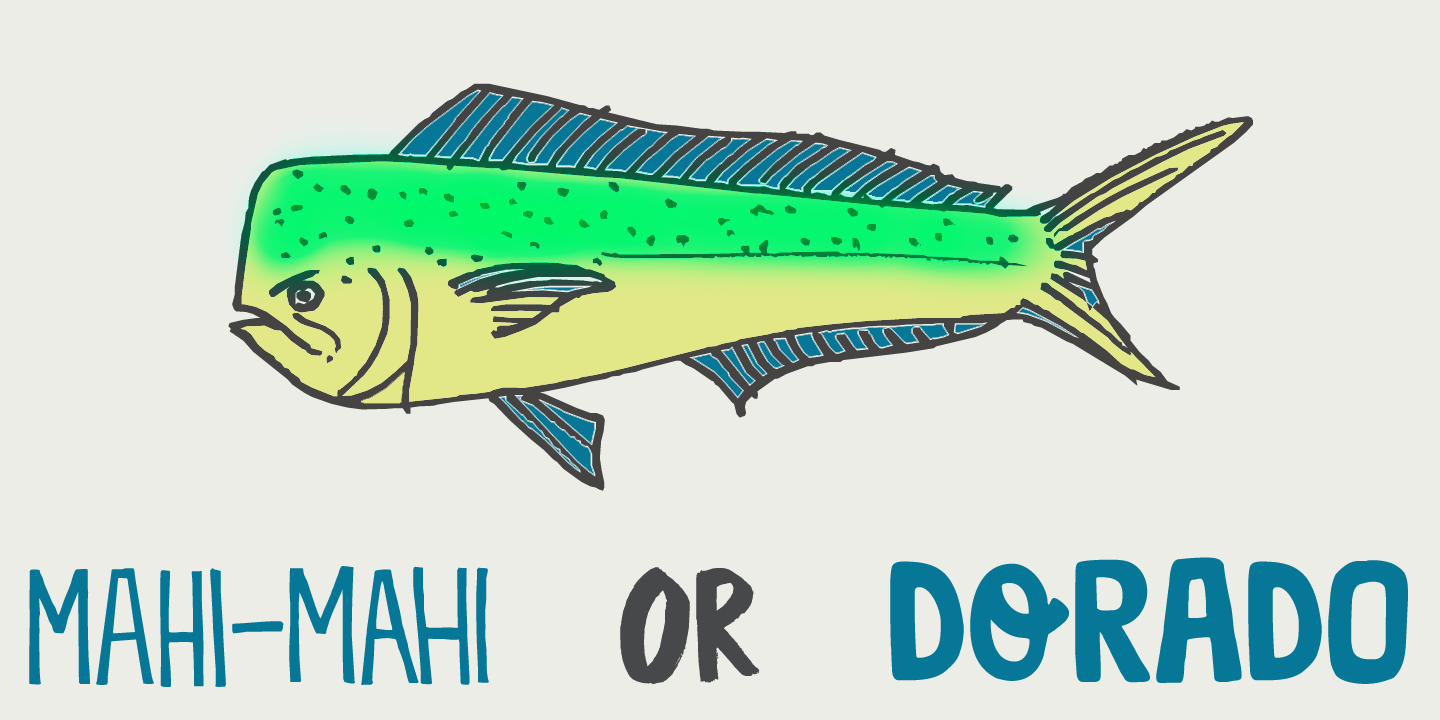 Market Square Font Poster #1