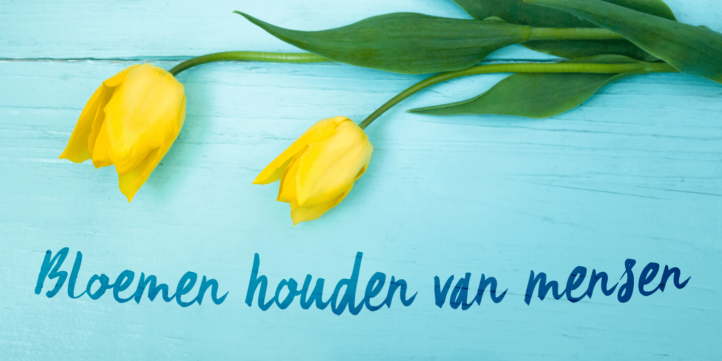 Summer Romance Font Poster #1