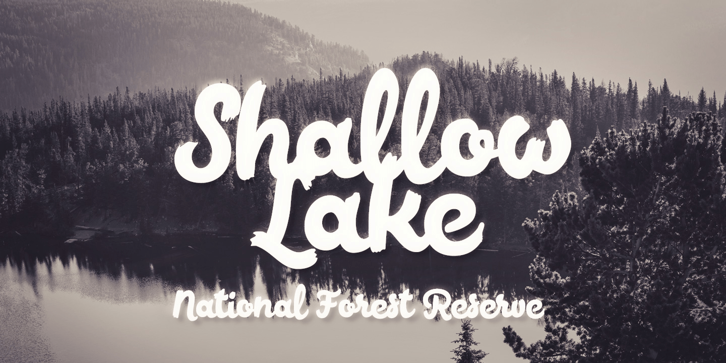 Poster Brush Font Poster #1