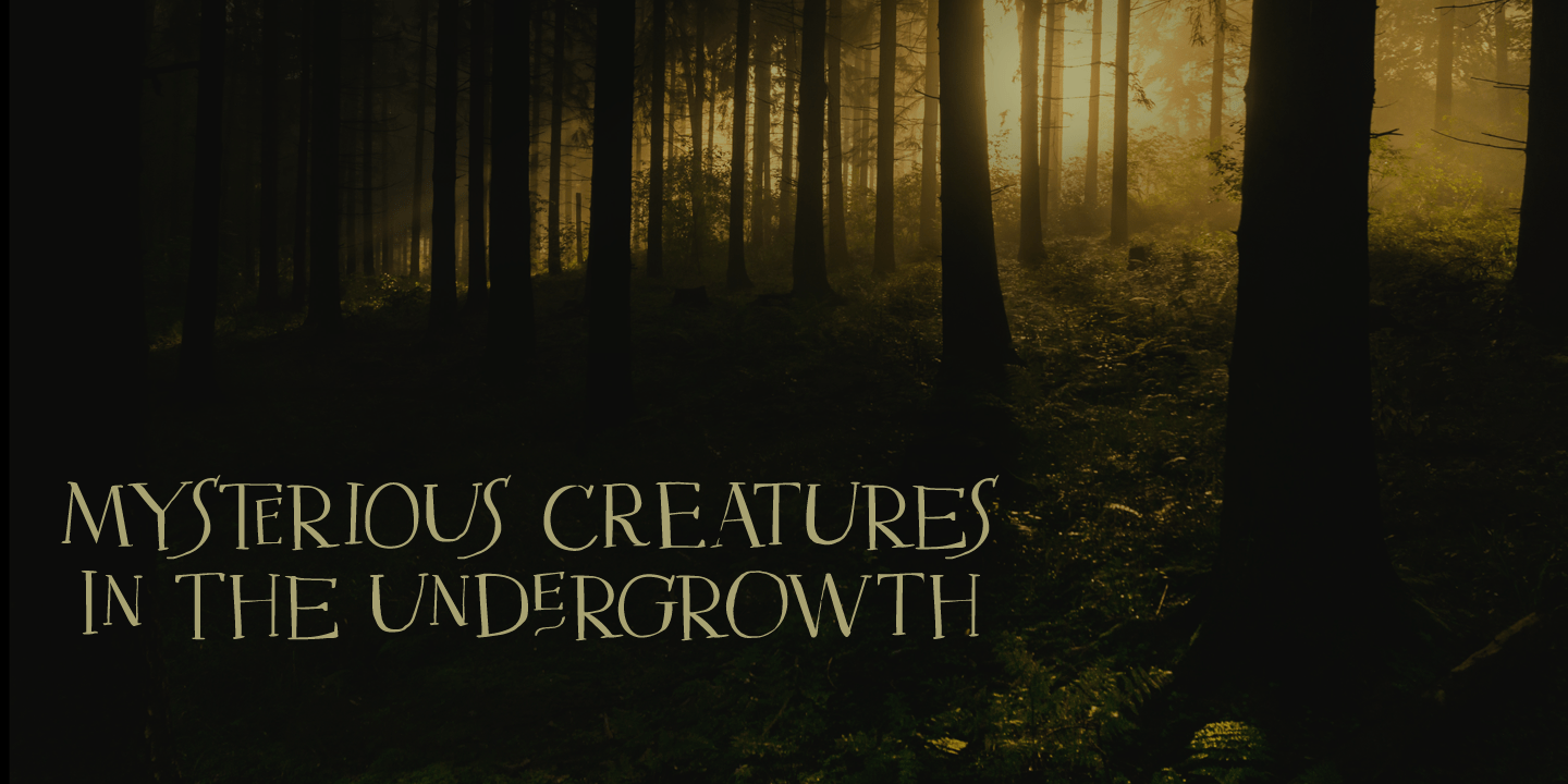 Mysterious Font Poster #1