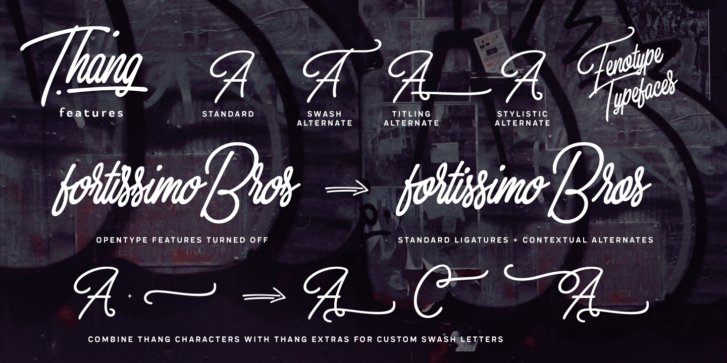 Thang Font Poster #1