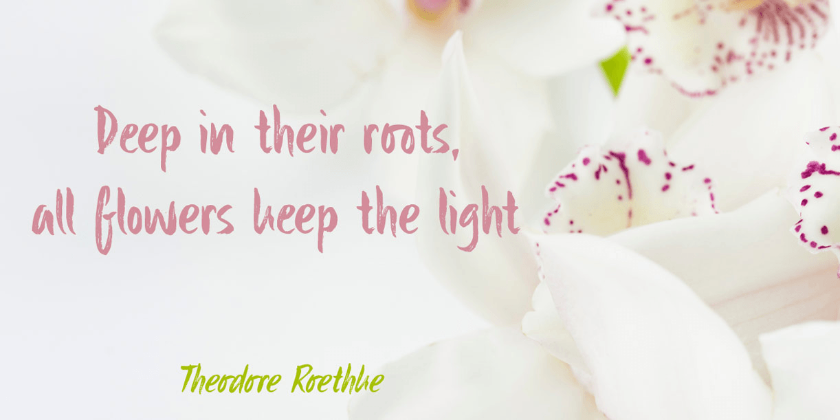 Sibylle Font Poster #2