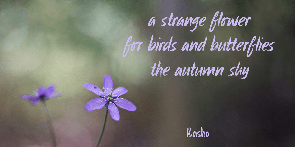 Sibylle Font Poster #4