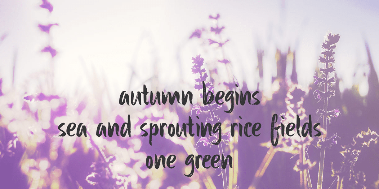 Sibylle Font Poster #5