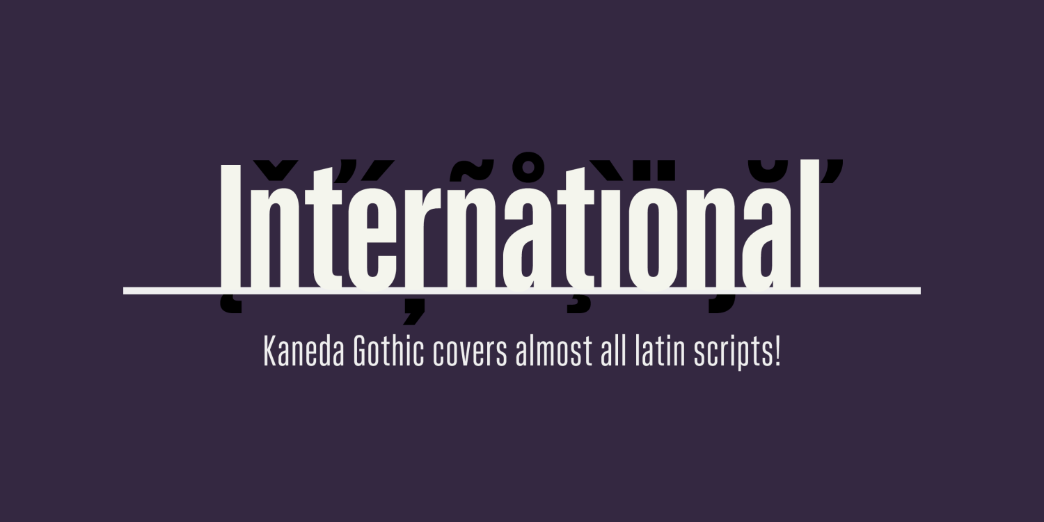 Kaneda Gothic Font Poster #1