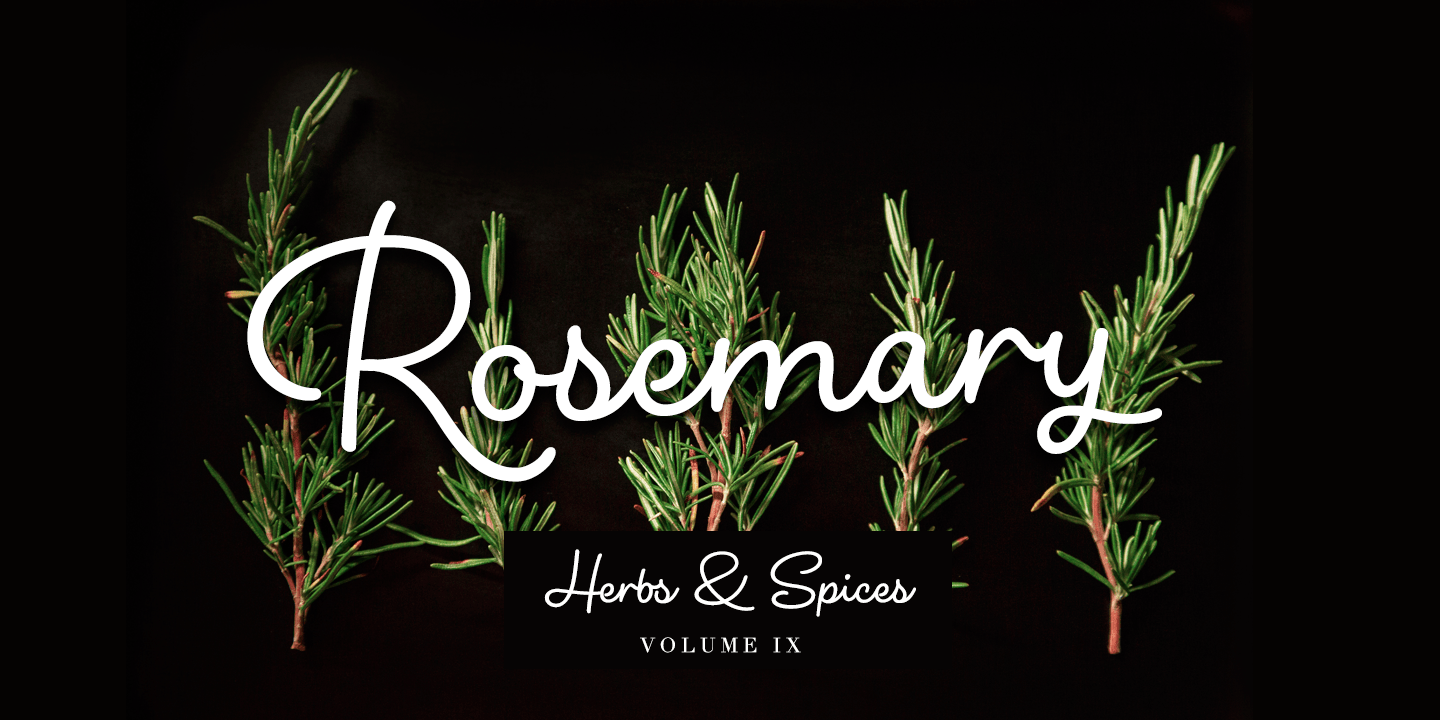 Shirataki Font Poster #1