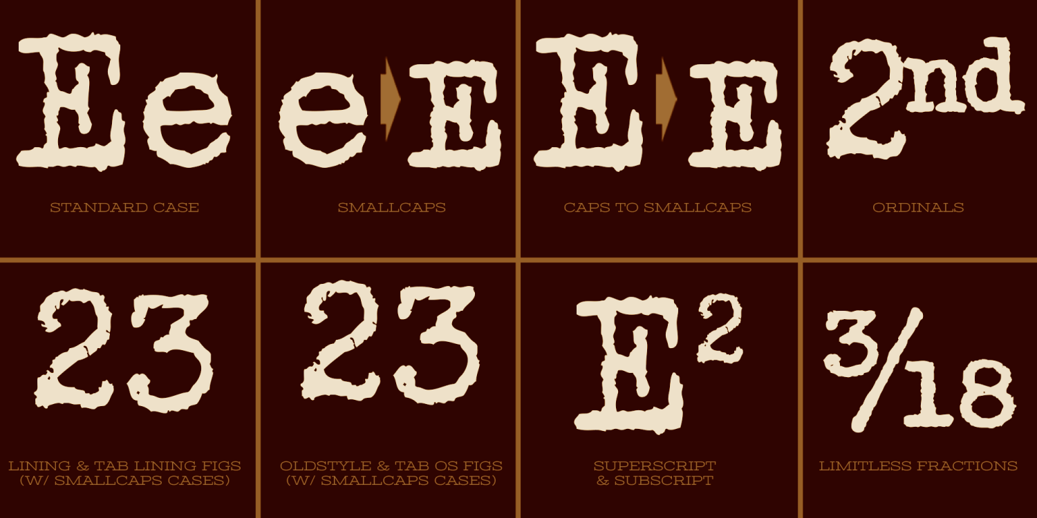 Distressed Telegraph Font Family - Poster #8
