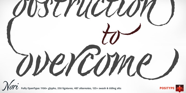 Nori Font Poster #1