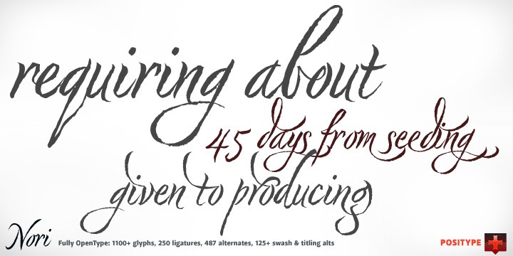 Nori Font Poster #1