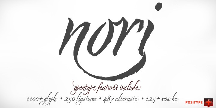 Nori Font Poster #1