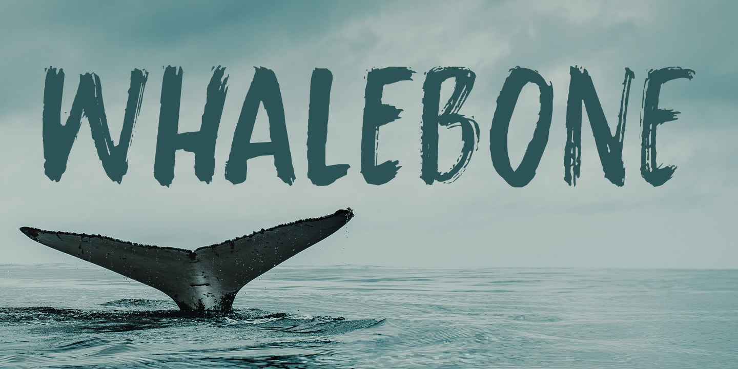 Whalebone Font Poster #1