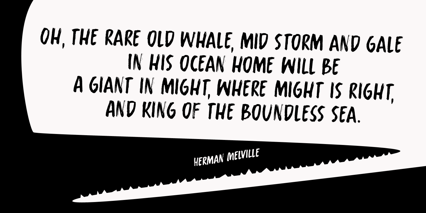 Whalebone Font Poster #1