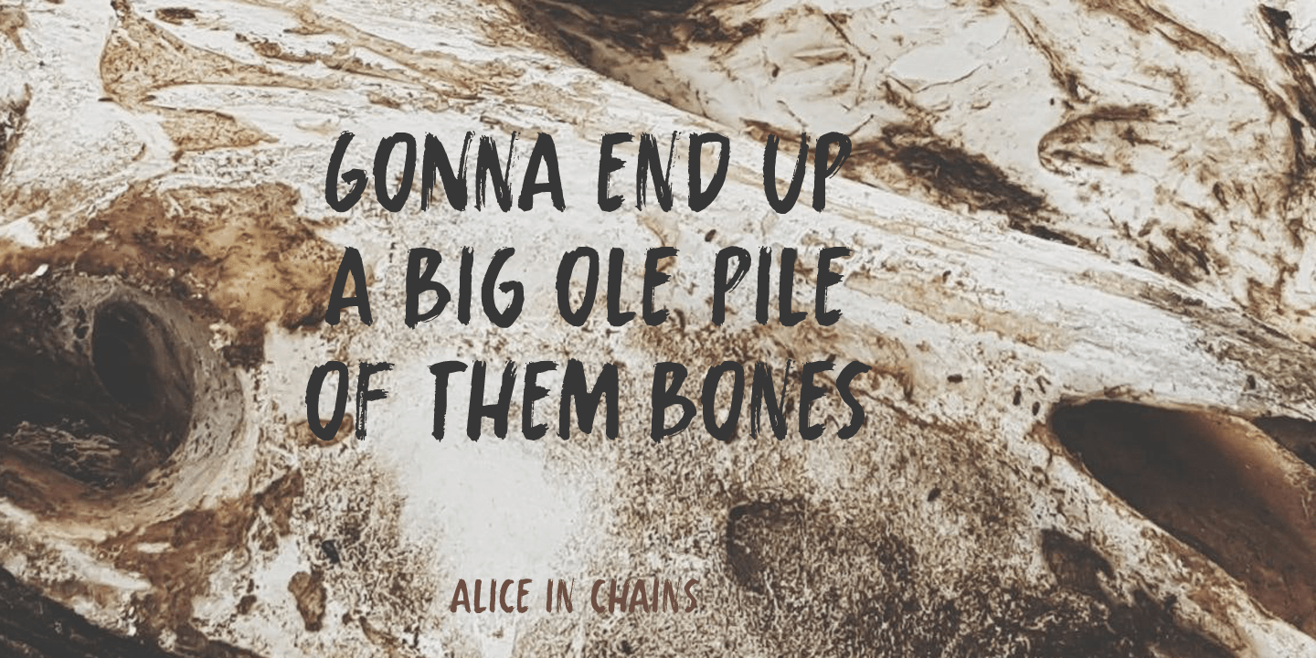 Whalebone Font Poster #1