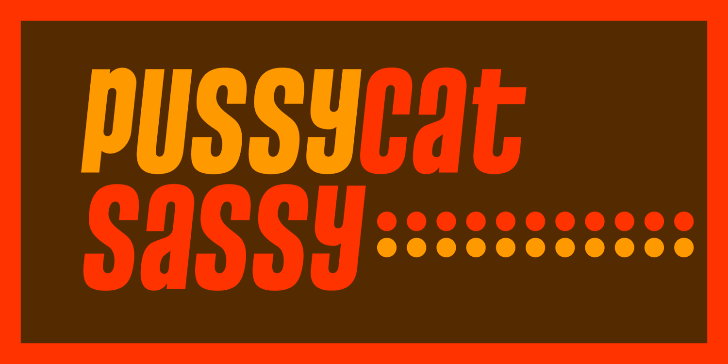 Pussycat Sassy Font Poster #1