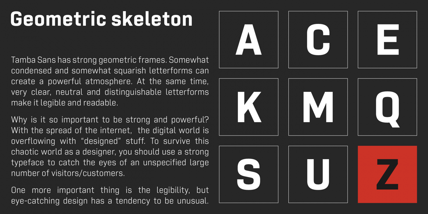 Tamba Sans Font Poster #1