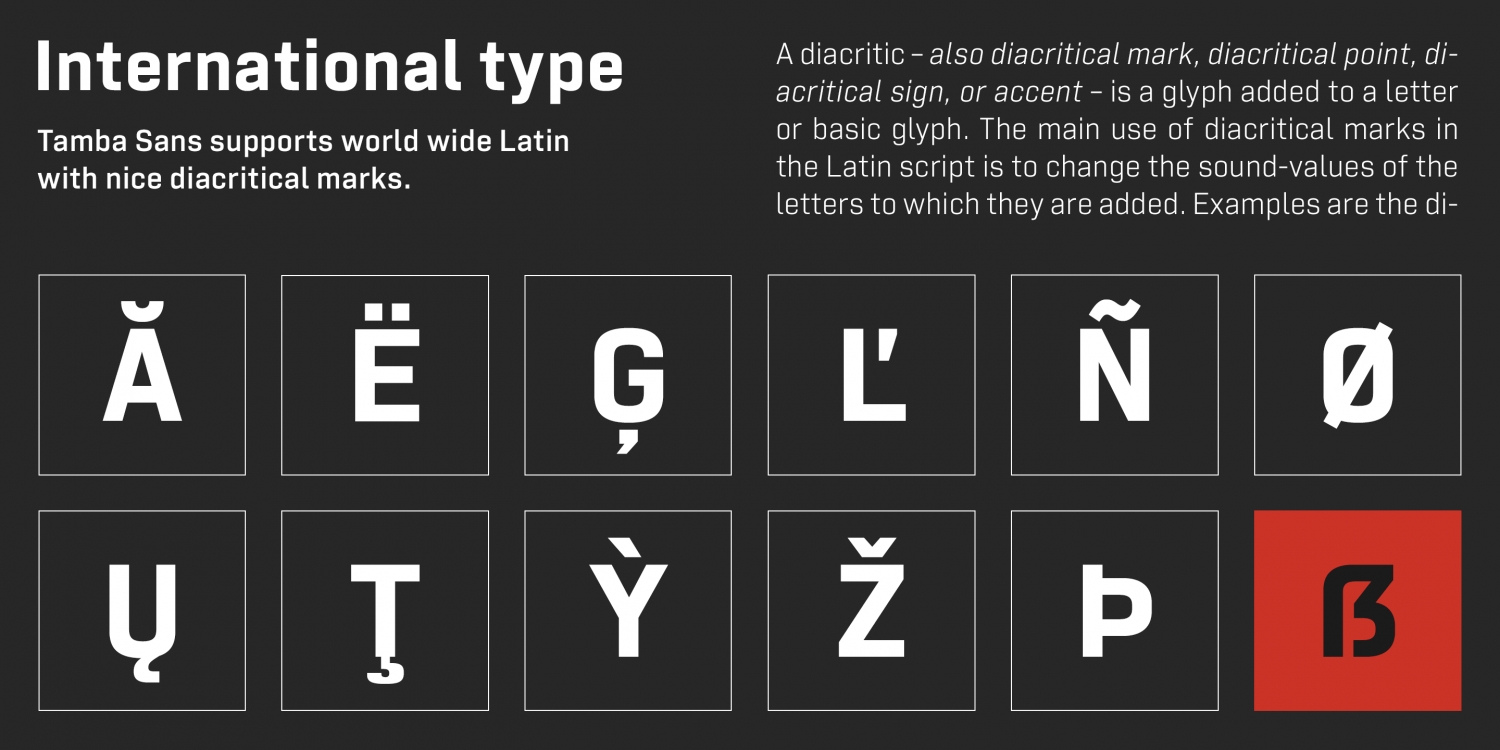 Tamba Sans Font Poster #1