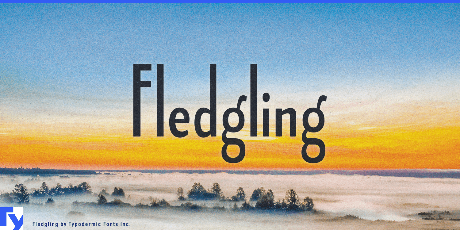 Fledgling Font Poster #1