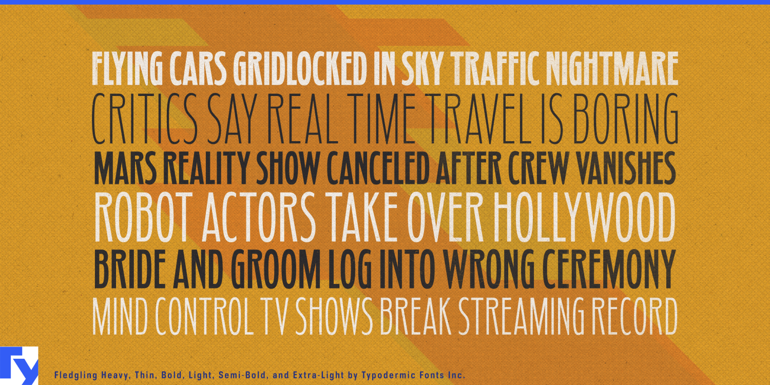 Fledgling Font Poster #1