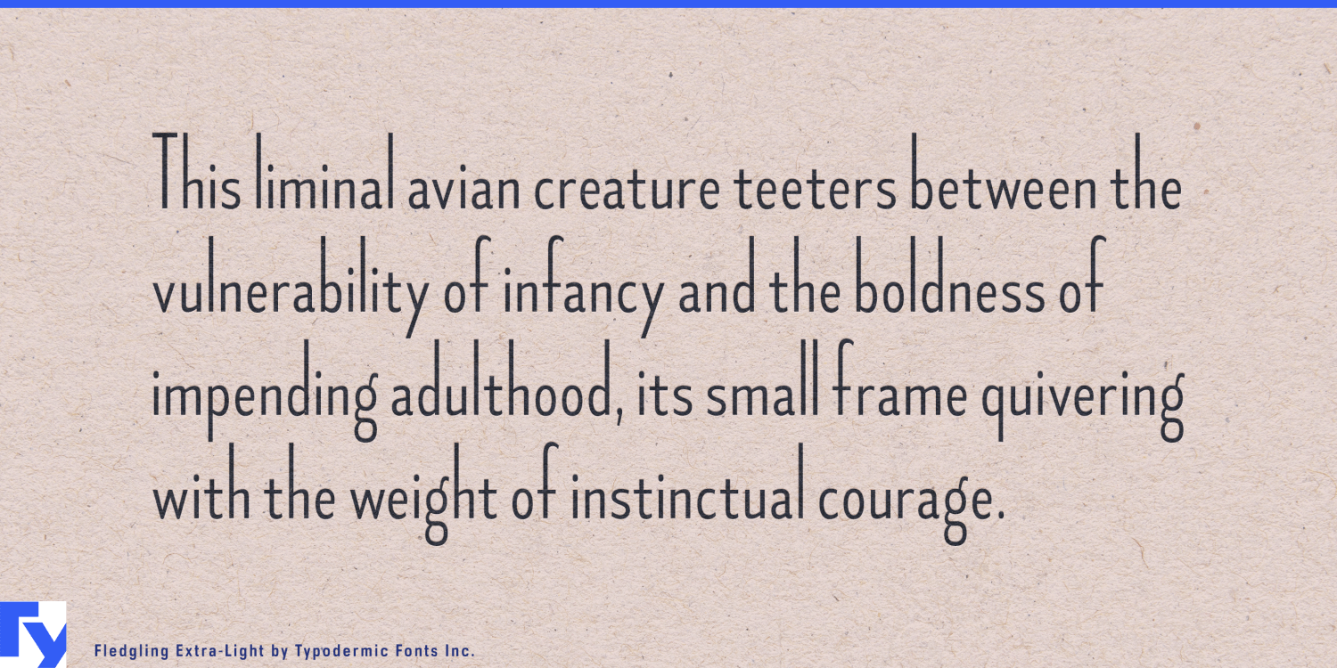 Fledgling Font Poster #1