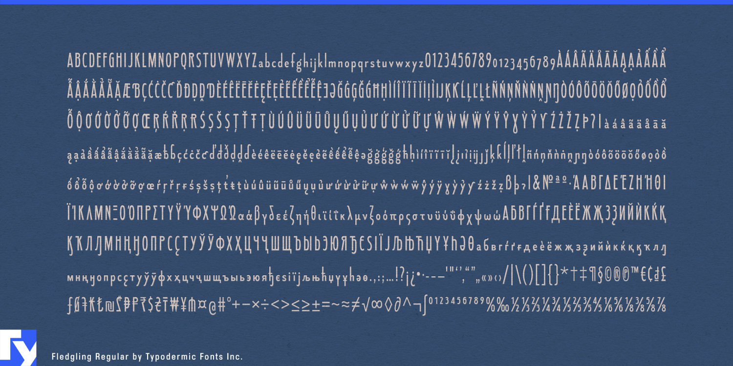 Fledgling Font Poster #1