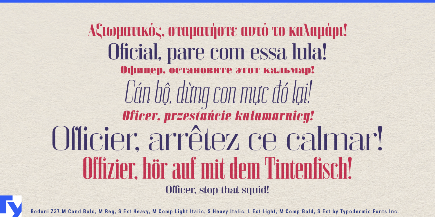 Bodoni Z37 Font Poster #1