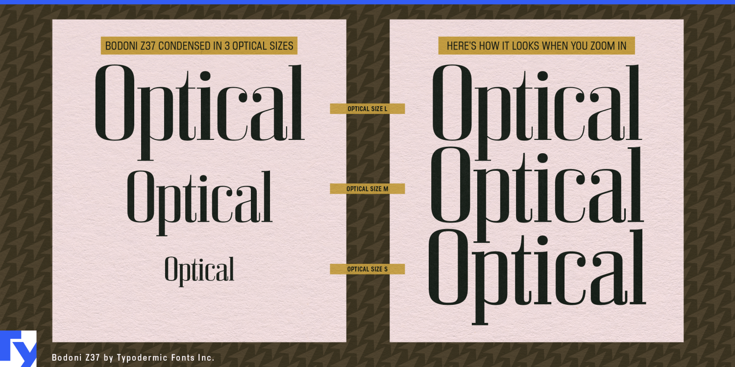 Bodoni Z37 Font Poster #1